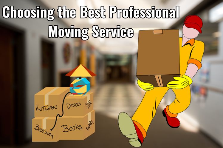 professional moving companies